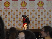 DSC01294.JPG
